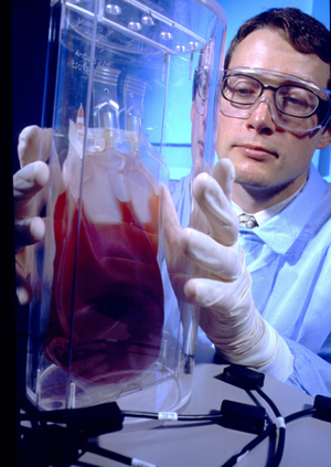 medical